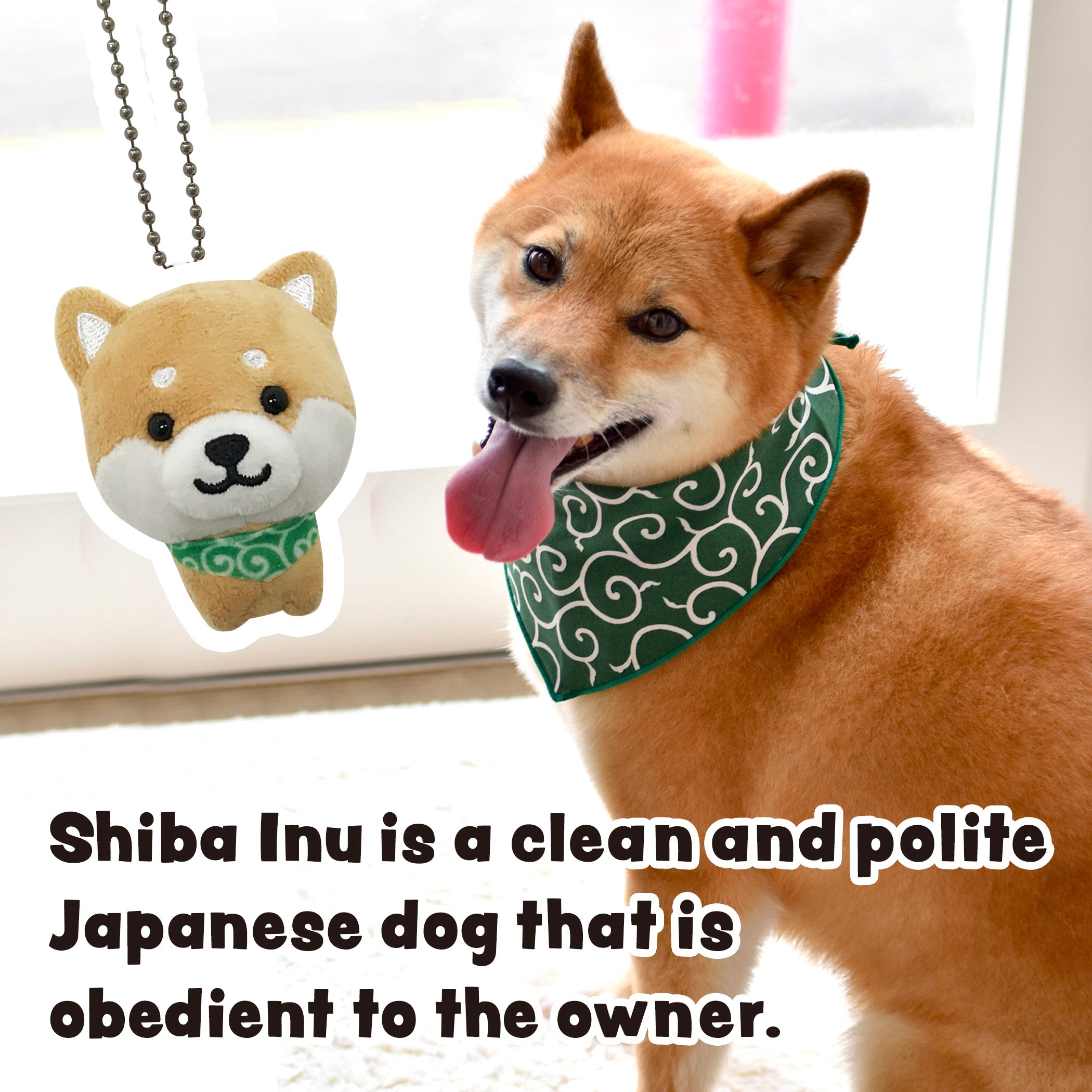 Shiba Inu Dog Keychain Cute Stuffed Animal Toy Mameshiba – e Omotenashi  ONLINE STORE